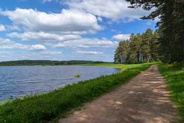Fototapeta na wymiar Country road in Park near small lake in autumn.