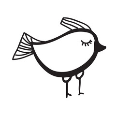 Birds hand drawn illustration for your design