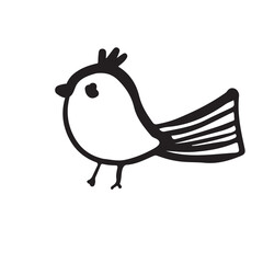 Birds hand drawn illustration for your design