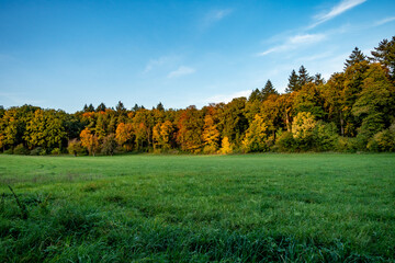 Weg durch den herbstlichen Wald