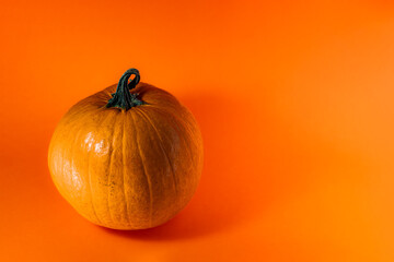Pumpkin on orange wide shot from above
