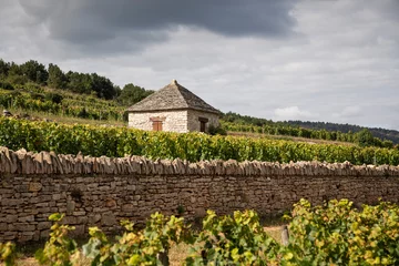 Fotobehang Chevalier Montrachet vineyard in Chassagne-Montrachet, Burgundy © JC