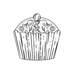Isolated sweet cupcake sketch icon Vector illustration