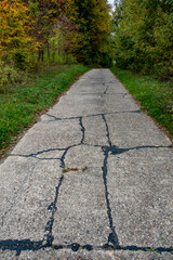 Strassenschäden