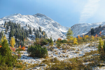 farbenprächtiger Herbstwald unter einer Bergspitze im ersten Schnee