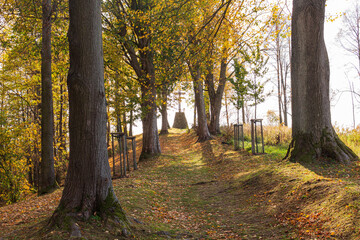 Naklejka premium Autumn forest path. Orange color tree, red brown maple leaves in fall city park. Nature scene in sunset fog Wood in scenic scenery Bright light sun Sunrise of a sunny day, morning sunlight view.