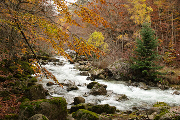 Autumn forest with yellow trees foliage rocks and small waterfalls on mountain. Idyllic hiking...