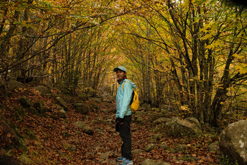 Fototapeta premium Asian girl walking in an Autumn Forest Landscape with autumn leaves path and with golden foliage. Path in autumn forest scene nature. In October, in the Aran Valley (Val de D'Aran) Pyrenees, Spain.