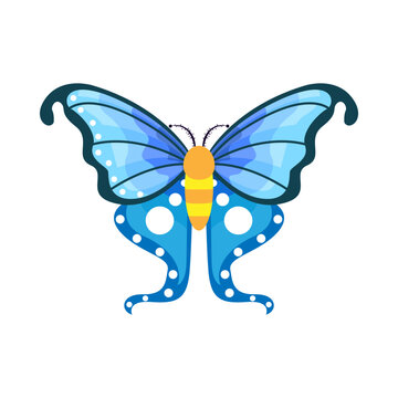 Isolated blue butterfly vector illustration