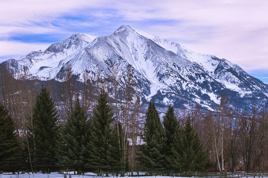 Winter view of beautiful mountain in Rocky Mountains, Colorado, with pine trees at the bottom