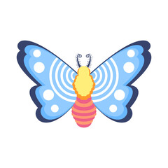 Isolated blue butterfly vector illustration