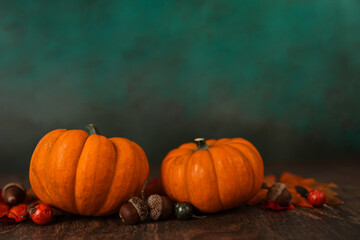 A row of miniature orange pumpkins on a rustic wood surface with a green teal abstract background with copy space for a banner or ad