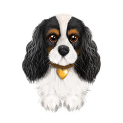 Illustration dog breed King Charles Spaniel, pet, dog portrait
