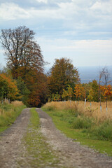 die allee der lippischen originale