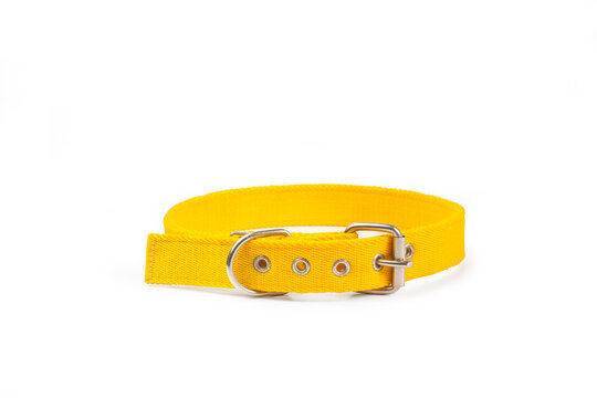 Collar amarillo para perros sobre un fondo blanco liso y aislado. Vista de frente y de cerca. Copy space