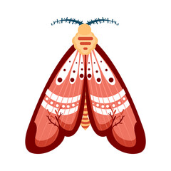 Isolated red moth vector illustration
