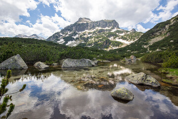 Plakat Summer view of Pirin Mountain near Popovo Lake, Bulgaria