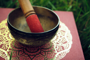 Tibetan bowl with a stick on the grass