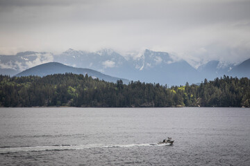 Fototapeta na wymiar Coast Mountains from Gibsons Island, British Columbia, Canada