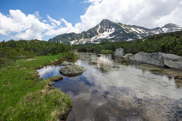 Fototapeta na wymiar Summer view of Pirin Mountain near Popovo Lake, Bulgaria