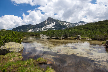 Summer view of Pirin Mountain near Popovo Lake, Bulgaria