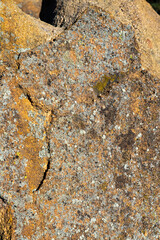 Close up of sandstone rock for backgrounds.