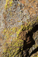 Close up of sandstone rock for backgrounds.