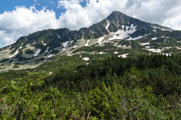 Fototapeta premium Summer view of Pirin Mountain near Popovo Lake, Bulgaria