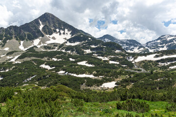 Summer view of Pirin Mountain near Popovo Lake, Bulgaria