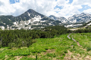 Summer view of Pirin Mountain near Popovo Lake, Bulgaria