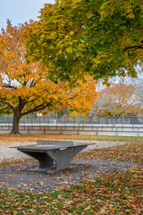A ping pong table in a park in the fall