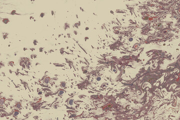 Fototapeta premium Abstract grunge art background texture with colorful paint splashes