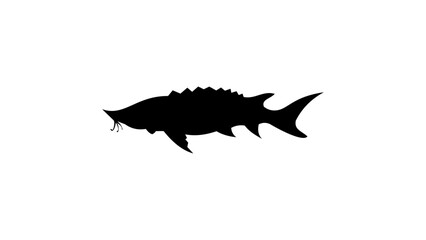 sturgeon silhouette