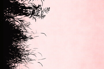 野原のシルエット