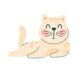 cute little cat posing