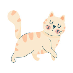 cute little cat walking