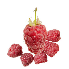 very fresh raspberries, on a transparent background