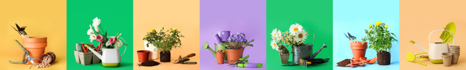 Set of gardener's supplies and plants on color background