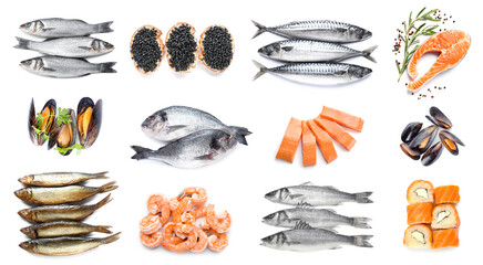 Collage of fresh seafood on white background
