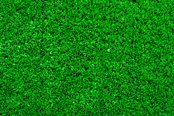 Fototapeta premium Green grass background, football field