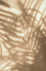 leaf shadow background with space for text