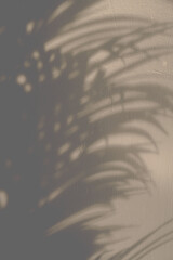 leaf shadow background with space for text