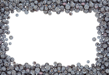 Transparent PNG Fresh Blueberries Border.