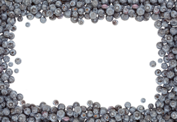 Transparent PNG Fresh Blueberries Border.