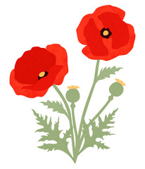 Poppy flowers and leaves, in a cut paper style with textures
