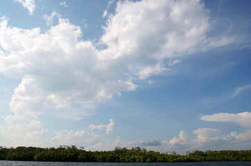 beautiful landscape with blue sky and clouds