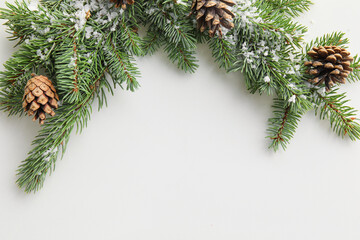 Fir tree branches with pine cones and snow on white background, closeup