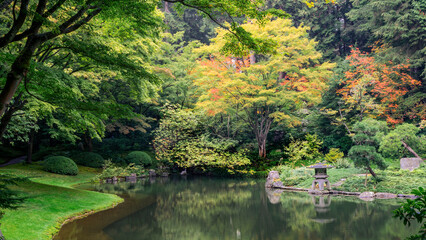 Obraz premium colorful tranquil japanese garden in fall