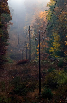 Transmission power lines descending a steep hill in the woods with fall foliage. 