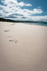 footprints on the sand